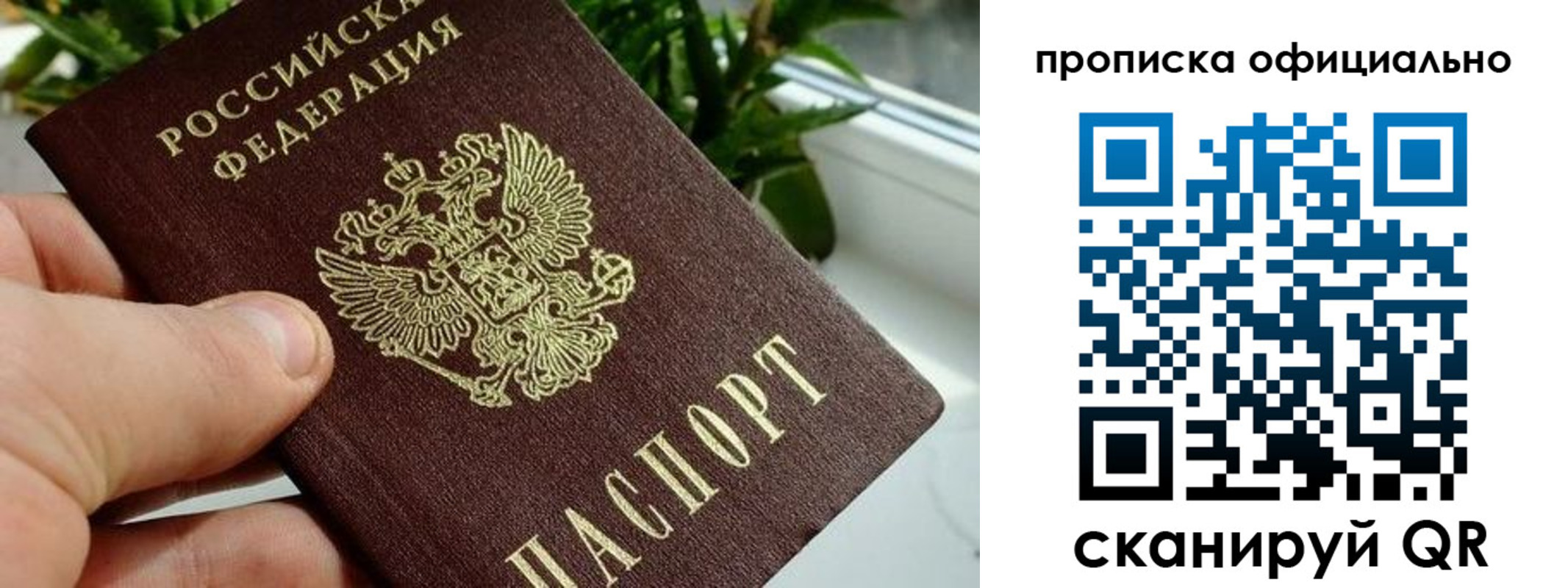 прописка поиск в Тулуне